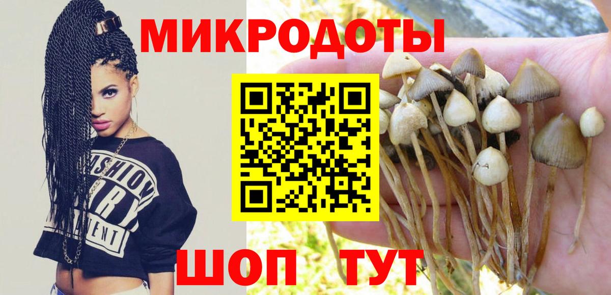 Галлюциногенные грибы MAGIC MUSHROOMS Апшеронск