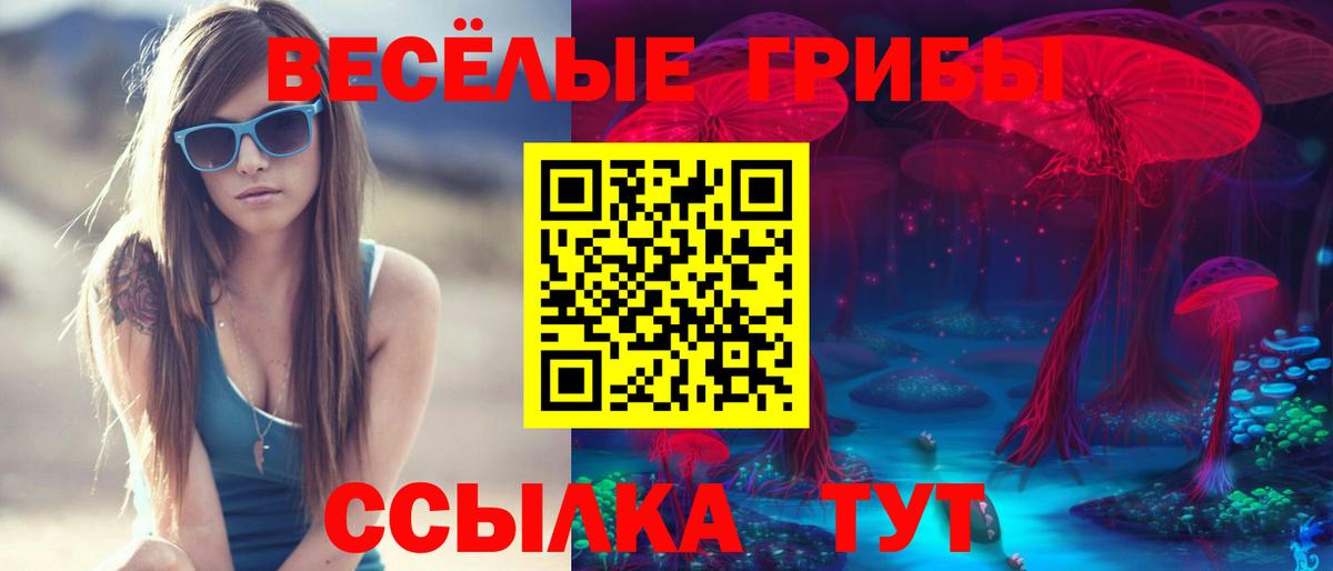 Галлюциногенные грибы Psilocybine cubensis  Вход с VPN  где продают   Апшеронск 