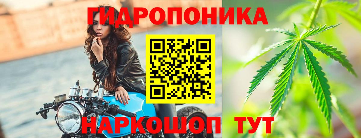 Конопля Amnesia Апшеронск